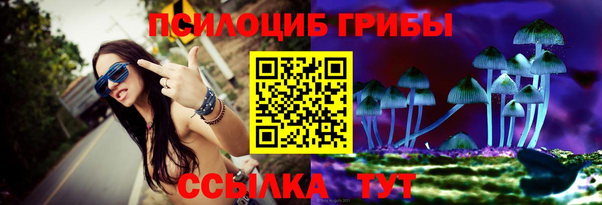 Дзержинск  Галлюциногенные грибы ЛСД  Псилоцибиновые грибы мицелий  Вход с VPN 