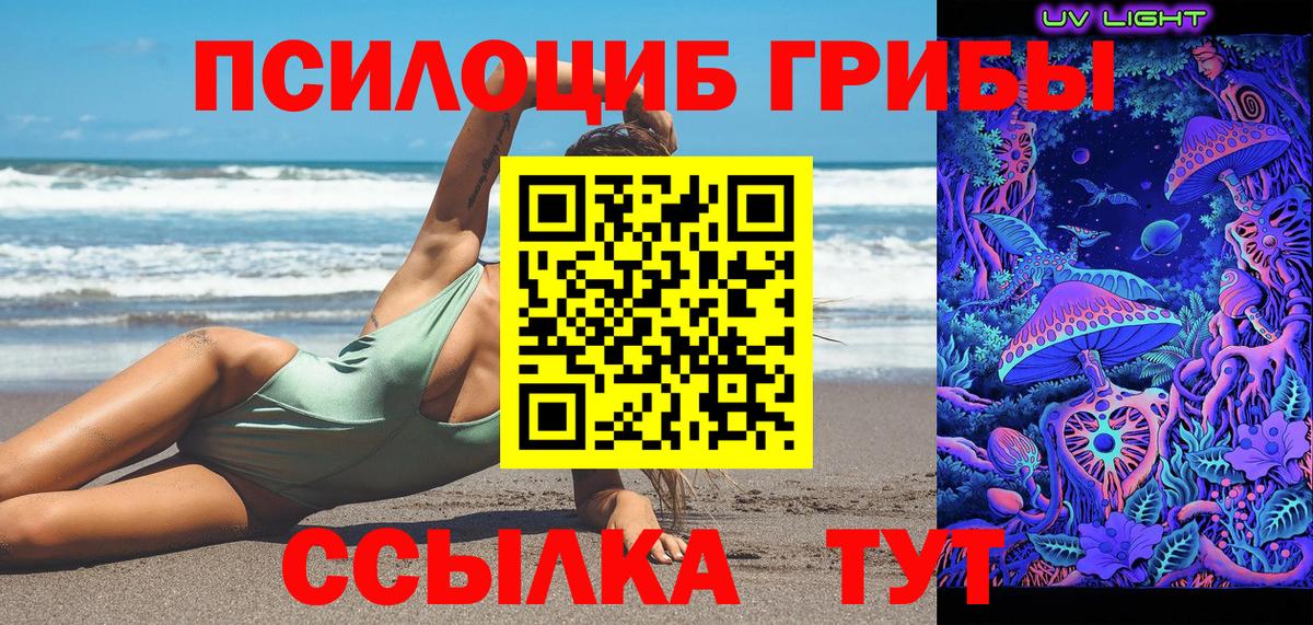 Галлюциногенные грибы Psilocybine cubensis Дзержинск